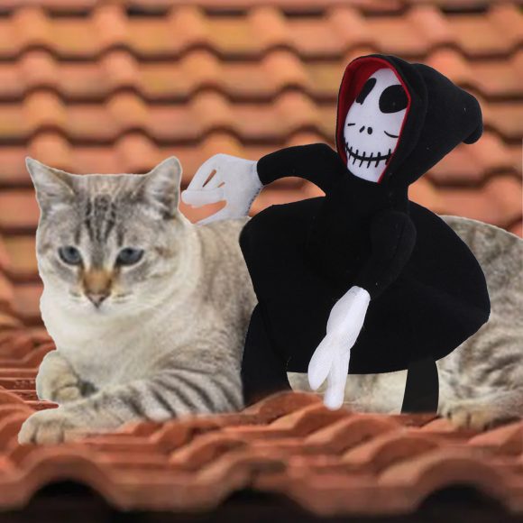 NEW Funny Pet Halloween Costume Halloween Pet Decoration Dress Up Pet Cosplay Costume Halloween Pet Clothes Spider Pumpkin Vest - Image 3