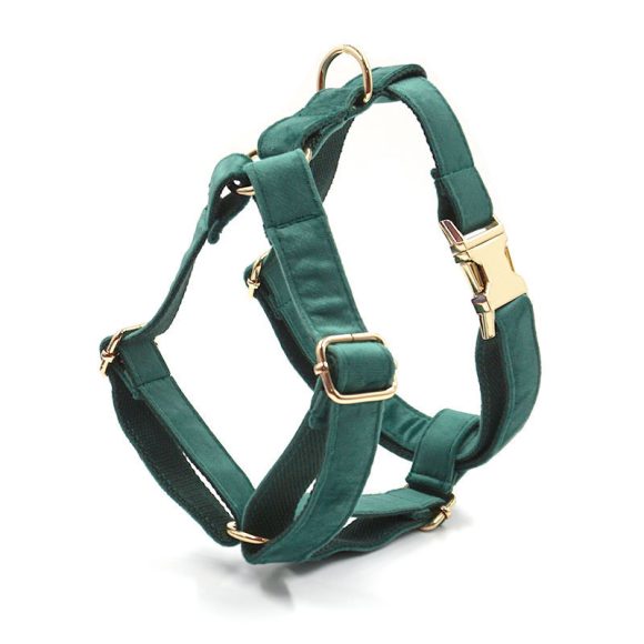 Green Velvet Dog Collar Dog Leash Pet Collar - Image 6