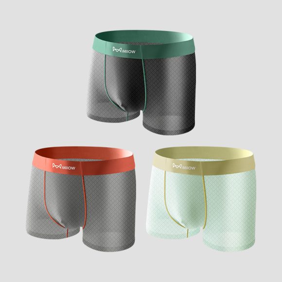 Ice Silk Anti-stuffy Anti-friction Physical Test Running Jacquard Underwear - Image 4