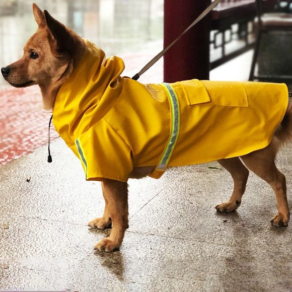 Dog Raincoat,Waterproof Dog Rain Jacket With Safety Reflective Stripe,Hooded Slicker Dachshund Doggy Dog Poncho With Leash For Dogs And Puppies - Image 7