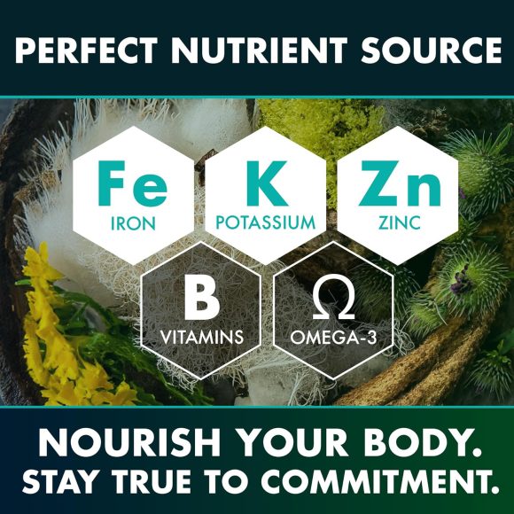 Seaweed Compound Vitamin Capsules - Image 4