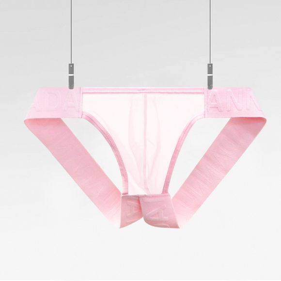 Transparent Mesh Fashion Relievo Pattern Belt T-back - Image 7