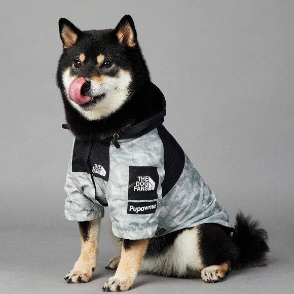 Dog Noodles New Dog Large Dog Dog Pet Shell Jacket - Image 6