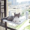 Cat Suction Cup Window Glass Hammock Pet Cat Pets Products - Image 8