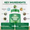 Pure Moringa Powder Capsules Of Nutrient-Rich Moringa - Natural Antioxidant Superfood - Promotes Energy, Skin Health, Gut Well-Being - With Essential Vitamins & Amino Acids 60 Count - Image 6