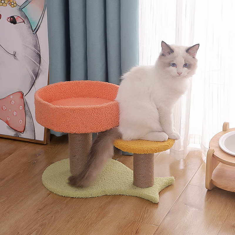 Cat trees & Condos