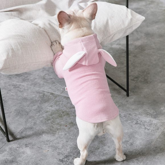 Dog Pet Clothes Spring And Autumn Clothing - Image 3