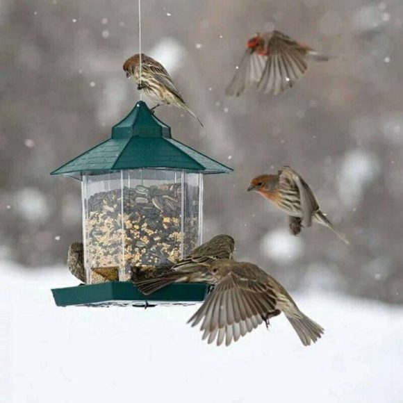 Waterproof hanging bird food box - Image 8