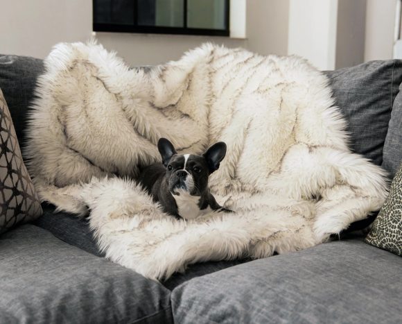 Dog warm mat - Image 2
