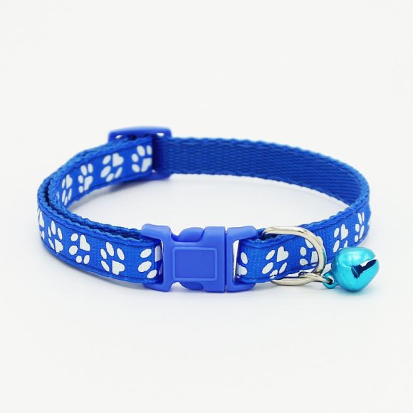 The pet cat wears a bell collar - Image 5