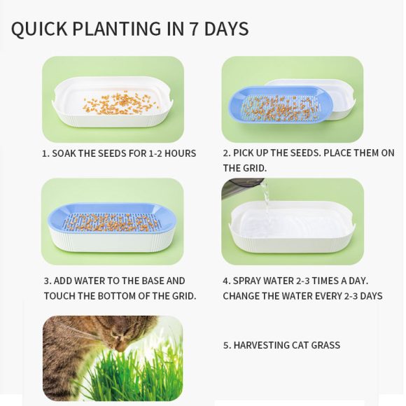 Hydroponic Cat Grass Box Plastic Tray Cat Grass Growing Kit Cat Grass Planter Hydroponic Cat Grass Box Cat Grass Sprouter Tray Interactive Cat Toy Window Planter Soilless For Pet Cat Plastic Plant Pot - Image 3