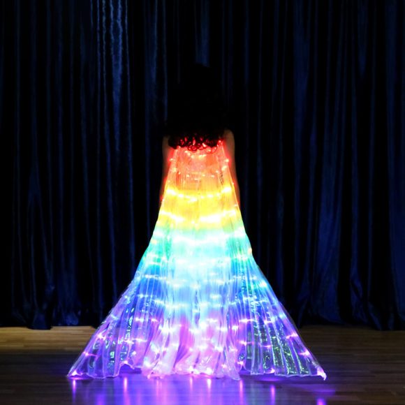 LED light wings - Image 3