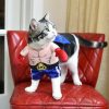 Boxer Cat Costume - Image 7