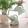 Baby elephant watering flowers - Image 6