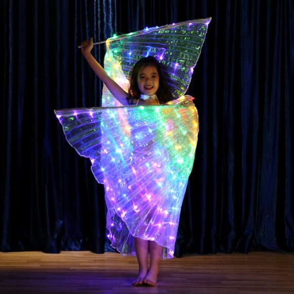 LED light wings - Image 2