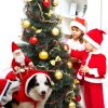 Dog Christmas Clothes Santa Claus Riding Deer - Image 6