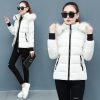 Thicken Big Fur Collar Plus Size Fat Sister Cotton-padded Coat - Image 2