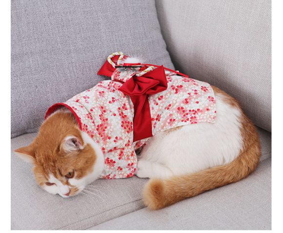 Thin Kimono Hairless Cat Puppet Pet Cat Dress - Image 2