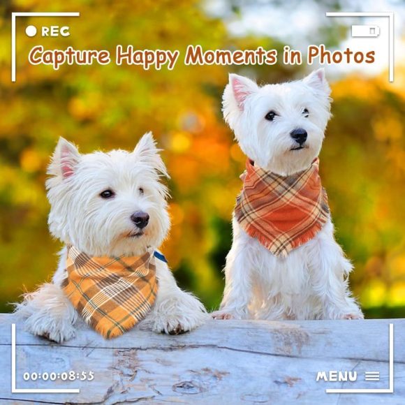 Vivifying Fall Dog Bandana With Tassels Edges Classic Plaid Triangle Dog Apparel Accessories Unny Dog Scarf Costume For Thanksgiving Photo Prop  And Party Decor - Image 10