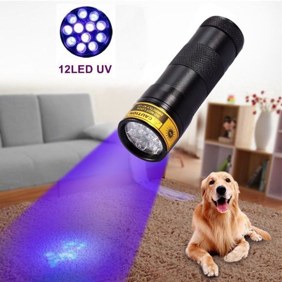 21LED violet flashlight LED violet UV UV Flashlight counterfeit flashlight - Image 4