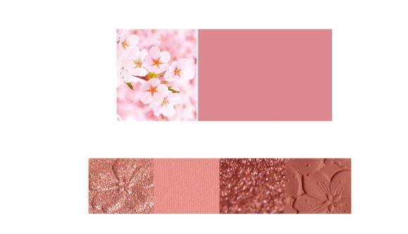 NOVO Eyeshadow Palette - Image 4