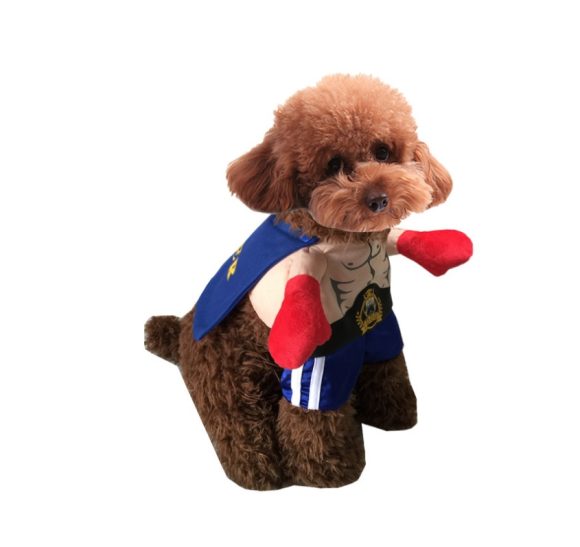 Boxer Cat Costume - Image 2