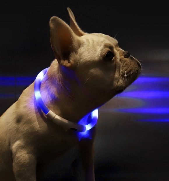 Pet Light Collar Anti-Lost Collar for Dogs Pet Collars - Image 2