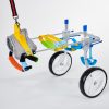 Disabled scooter for dogs - Image 8