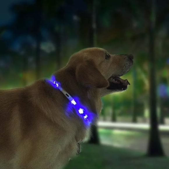 Pet Light Collar Anti-Lost Collar for Dogs Pet Collars - Image 6