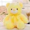 Glowing Teddy Bear