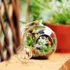 Hanging transparent glass vase container - Image 5