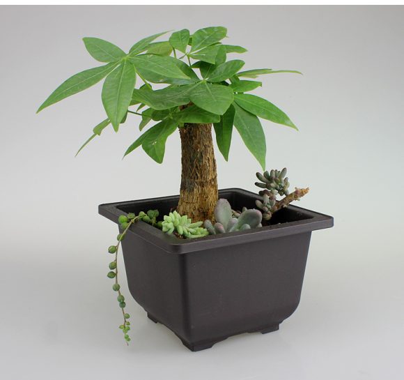 Garden supplies antique plant plastic flowerpot - Image 5