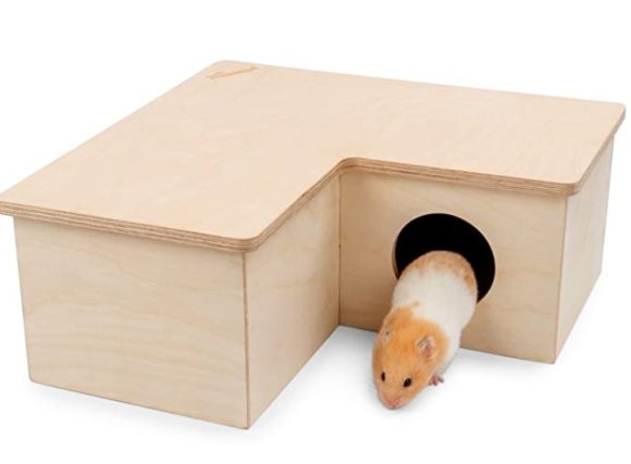 Hamster Multi-Room - Image 4