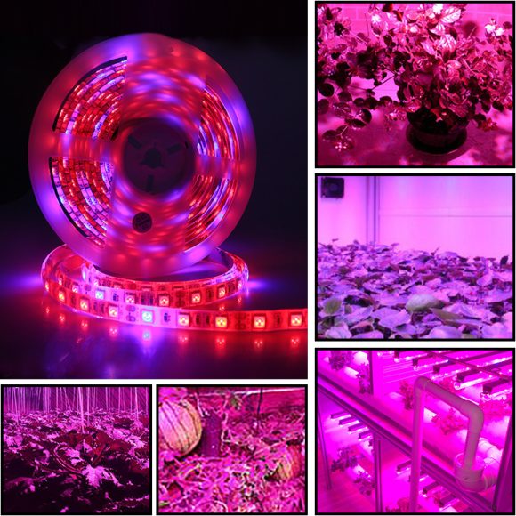 5050Led plant growth soft light bar 5M - Image 5
