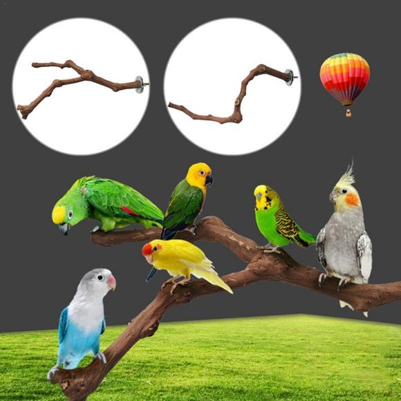 Bird Standing Stick Wild Grape Wood Grinding Claw Stick Perching Stick - Image 3