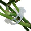 Garden Supplies Pliers Plants 50 Pieces - Image 5