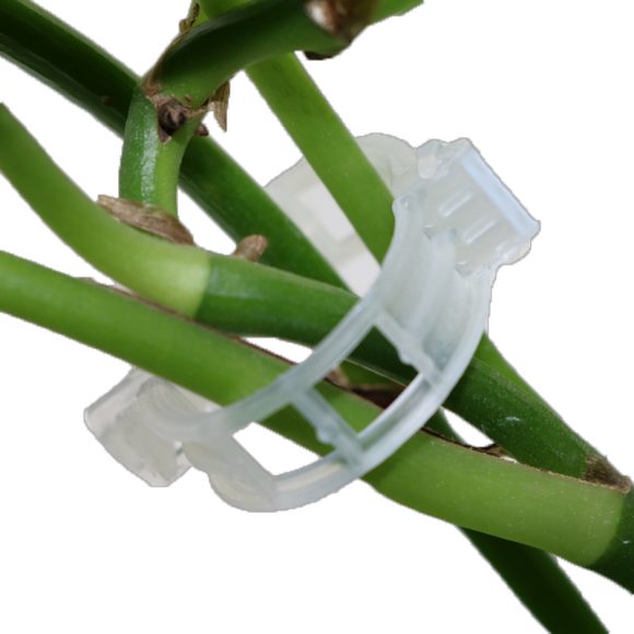 Garden Supplies Pliers Plants 50 Pieces - Image 5
