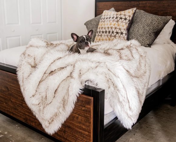 Dog warm mat - Image 3