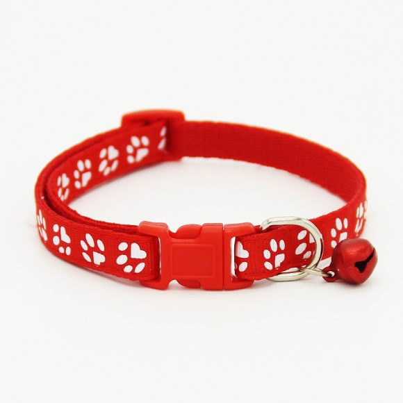 The pet cat wears a bell collar - Image 2