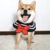 Pet collar - Image 7