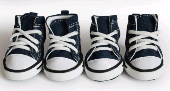 Pet denim canvas shoes dog shoes, sports and leisure waterproof non-slip dog shoes breathable and comfortable - Image 6