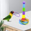 Bird toy parrot toy - Image 3