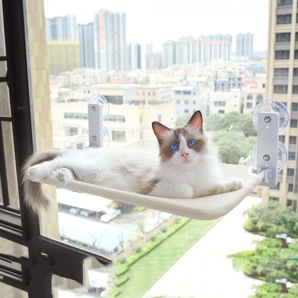 Cat Suction Cup Window Glass Hammock Pet Cat Pets Products - Image 4
