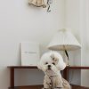 Pet Cat Dog Clothing Princess Skirt - Image 2