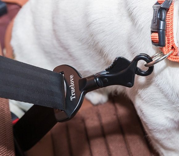 Dog seat belt - Image 6