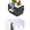 Out of the bird cage - Image 4