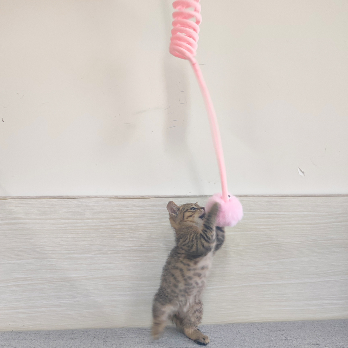 Pet Chase Toys