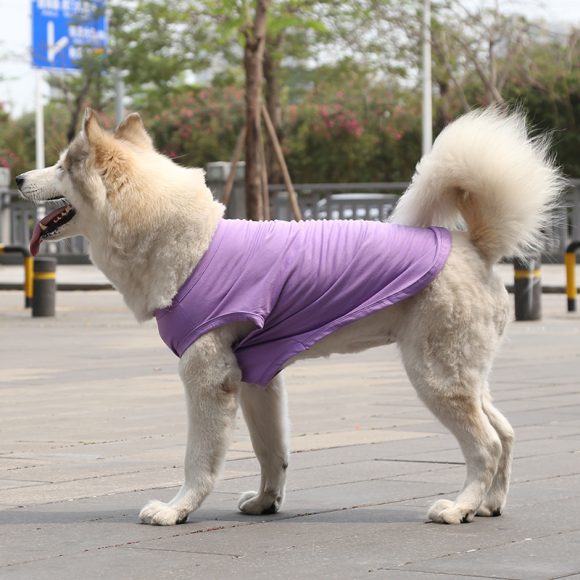 XS-5XL Dog Vest Dog Shirt Summer Small Medium Dog Clothes Chihuahua Tshirt - Image 7