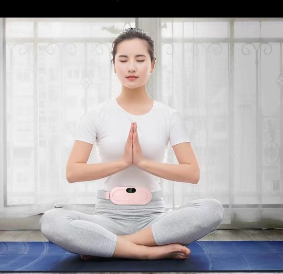Electric Stomach Warming With Lumbar Support Bag - Image 7