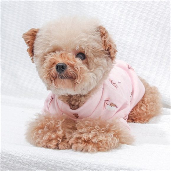 Dog clothes - Image 6